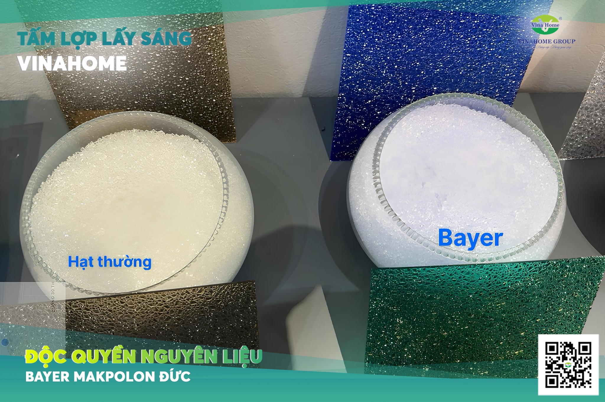 So sánh hạt bayer và hạt thường