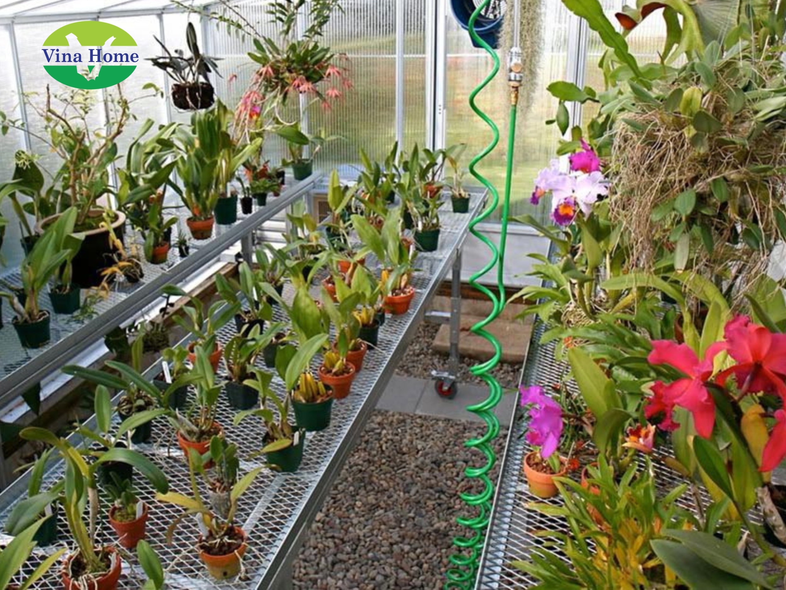 Ứng dụng tôn nhựa lấy sáng